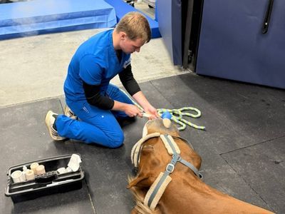 Careers - Positions - Icon 3.jpg