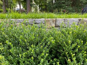 IMG_0897_1.jpg