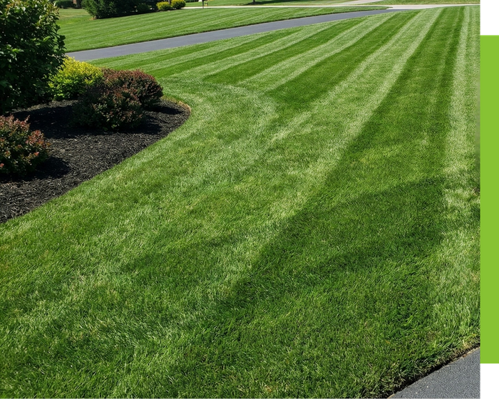 landscaping image 5.png