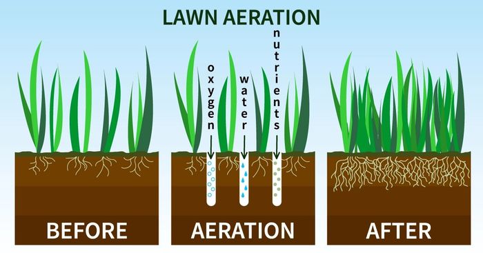 Lawn-Aeration-Whens-the-Best-Time.jpg