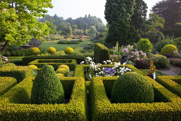 27833-buxus-boxwood-knot-garden-low-border-cottage-country-large-spacious-sloped-estate-acreage.jpg