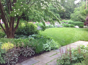 schiffer front yard.JPG 2.JPG