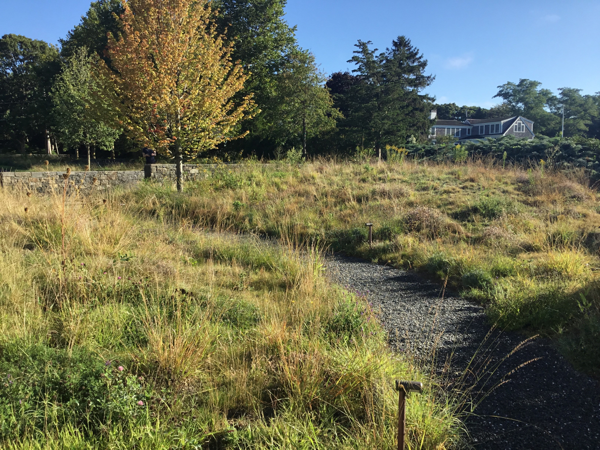 ANDLC - peastone walkway-meadow.jpg
