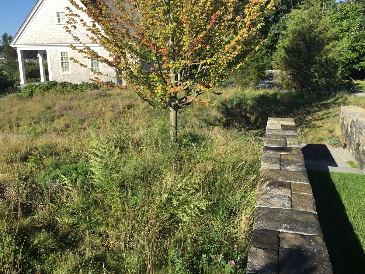 ANDLC - driveway-meadow wall.jpg