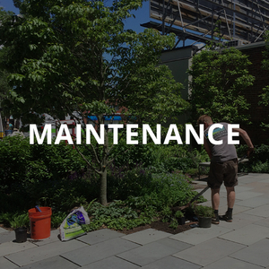 Custom property maintenance programs including spring & fall cleanup, irrigation activation & winterization, organic tree, shrub and lawn care applications, bed weeding, tree & shrub pruning and snow removal. CTA4.jpg