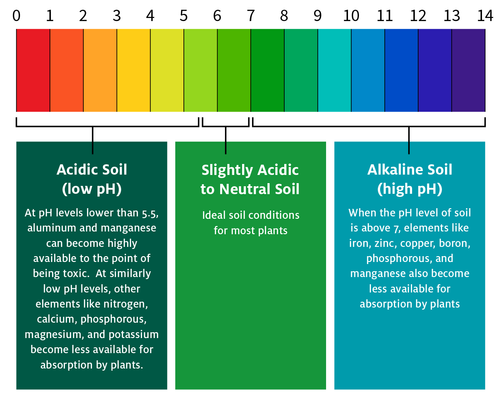 Soil_pH.png