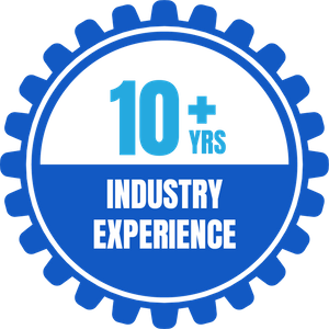 10 Plus Industry Experience
