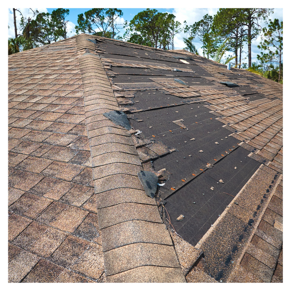 damaged roof. 