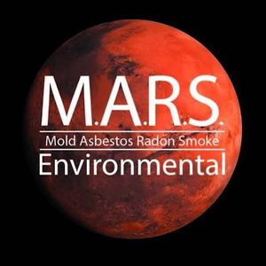 Mars environmental.jpeg