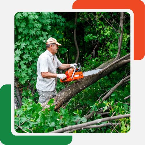 a man cutting a tree Waleska GA Tree Removal (2).jpg