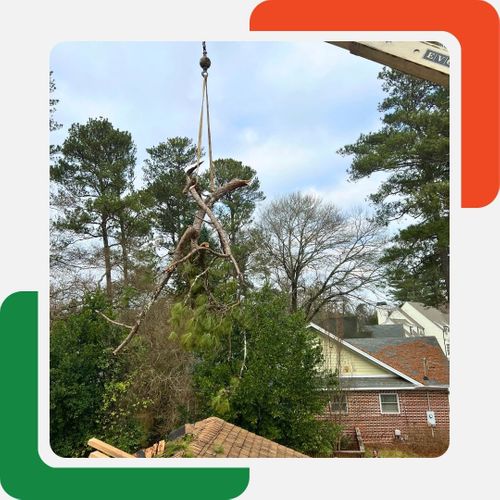 A bundle of tree branches with some green foliage is being lifted by a crane hook and strap. A bundle of tree branches with some green foliage is being lifted by a crane hook and strap.