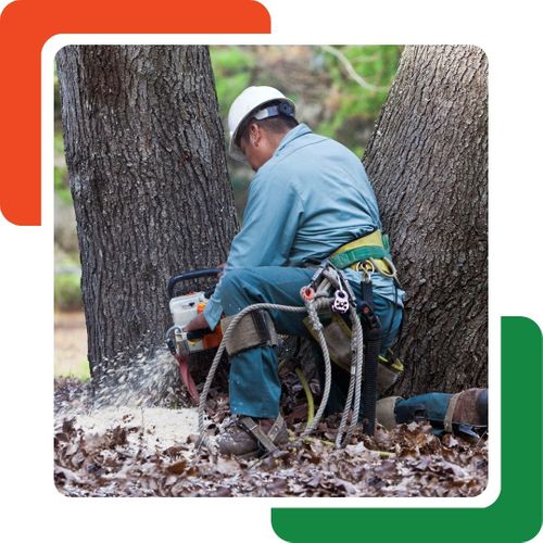 cutting down a tree with a chainsaw cutting down a tree with a chainsaw