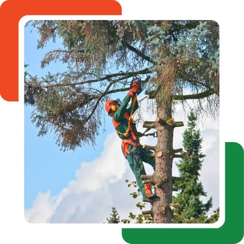 a worker cutting branches off of a tree Waleska GA Tree Removal.jpg