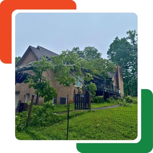 A small, white treehouse with a brown roof is built around a large tree trunk, featuring a green slide and a rope swing. A small, white treehouse with a brown roof is built around a large tree trunk, featuring a green slide and a rope swing.