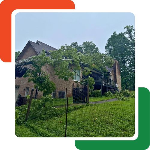 tree fallen on house
