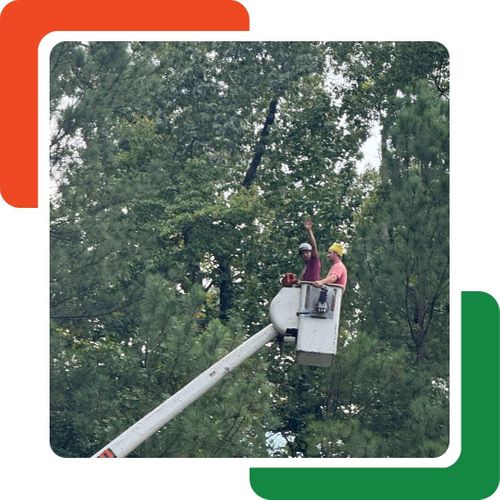 Two tree workers are in a white bucket lift, extending upwards, with one worker waving. Two tree workers are in a white bucket lift, extending upwards, with one worker waving.