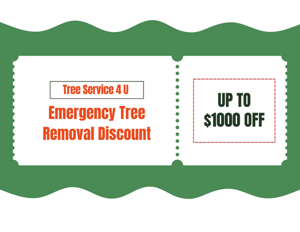 Tree Service 4 U Discount (1).png