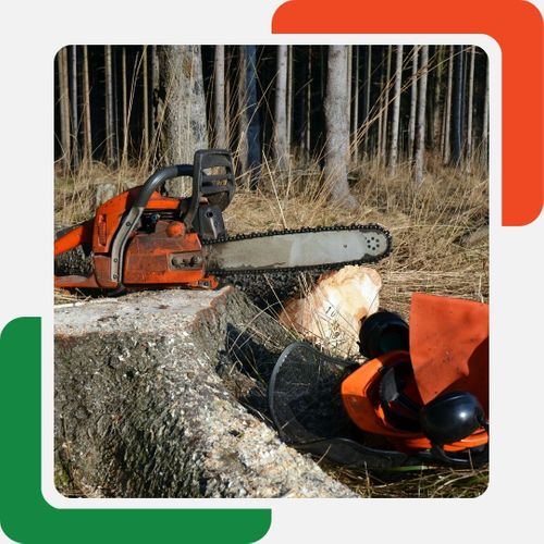 chainsaws near a stump Roswell GA Tree Removal (2).jpg
