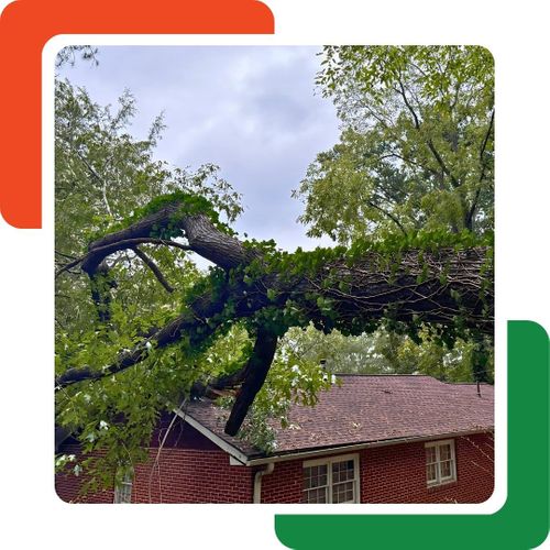 A large tree branch, covered in green ivy, has fallen onto the roof of a single-story brick house with a reddish-brown roof. The branch extends across a significant portion of the roof. A large tree branch, covered in green ivy, has fallen onto the roof of a single-story brick house with a reddish-brown roof. The branch extends across a significant portion of the roof.