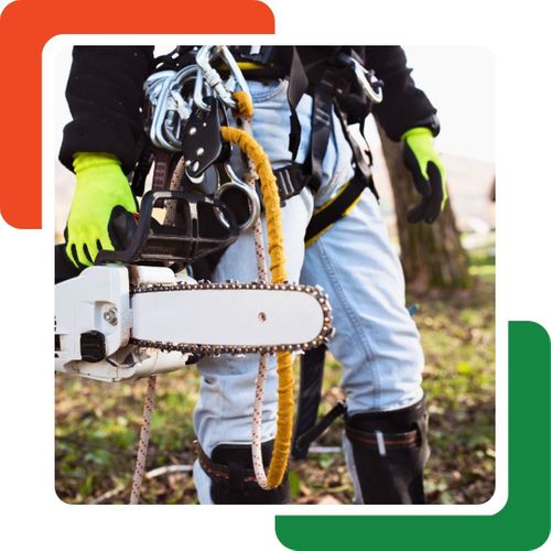 tree care specialist holding a chainsaw tree care specialist holding a chainsaw