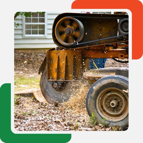 stump grinding stump grinding