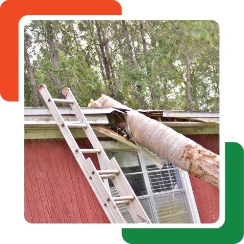 a tree fallen on a home Waleska GA Tree Removal (3).jpg