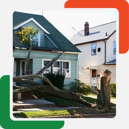 fallen tree and home damage fallen tree and home damage