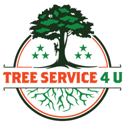 Tree Service 4 U Tree Service 4 U