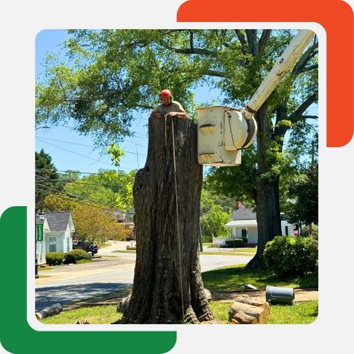 A tree worker in a red hard hat stands atop a freshly cut tree stump, holding onto two long poles or ropes. A tree worker in a red hard hat stands atop a freshly cut tree stump, holding onto two long poles or ropes.