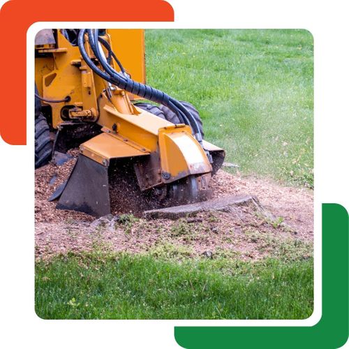 stump grinding stump grinding