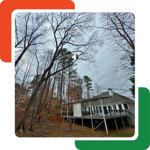 tree trimming high above a home tree trimming high above a home