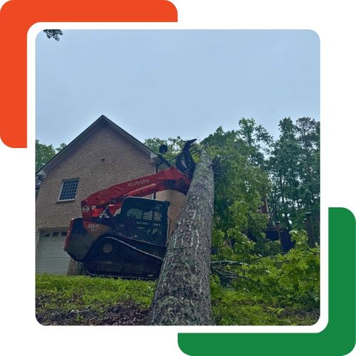 A red Kubota skid-steer loader with a grapple attachment is holding a large, fallen tree trunk vertically. A red Kubota skid-steer loader with a grapple attachment is holding a large, fallen tree trunk vertically.