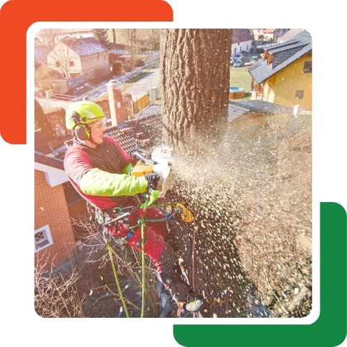 a person using a chainsaw on a tree White GA Tree Removal.jpg