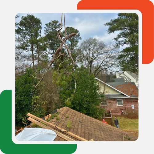 removing fallen tree that caused roof damage