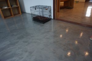 pet-shelter-metallic-epoxy-CRU-decorative-epoxy-chemical-resistant-scaled.jpeg