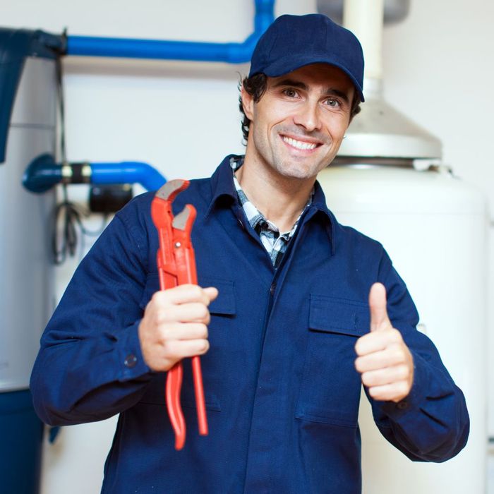 happy plumber
