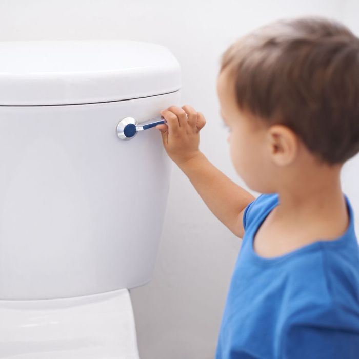 Avoid Flushing Non-Flushable Items.jpg