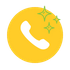 phone icon