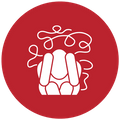 Health Anxiety - Icon 1.png