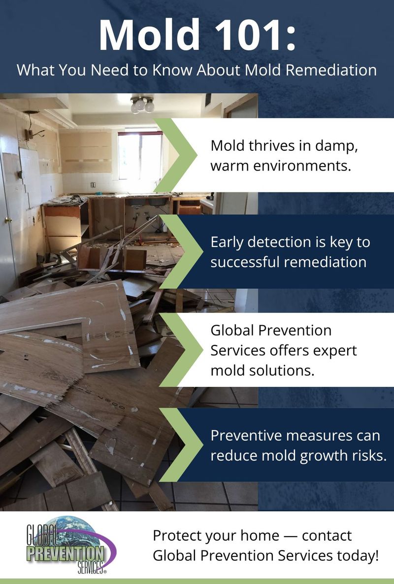 M50887 - Global Prevention Services - Infographic - .jpg