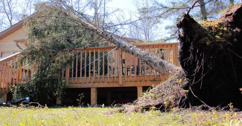 Tree collapsed onto a roof and patio deck