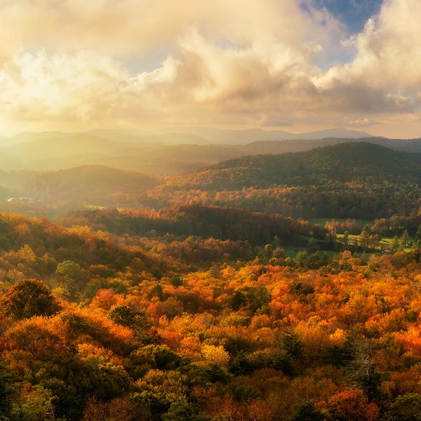 AdobeStock_202194791.jpeg