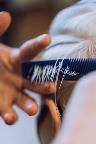 detail-of-hair-cutting-with-comb-going-through-hai-2021-10-19-19-52-41-utc.jpg