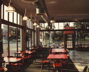 VitosInteriorWindows-5f3e8816440ef-1381x788.jpg