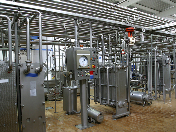 Stainless steel temperature control valves and pipes in modern dairy factory.
