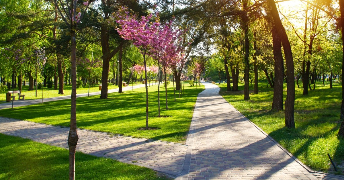 ftd-image-how-to-reduce-springtime-allergies.jpg