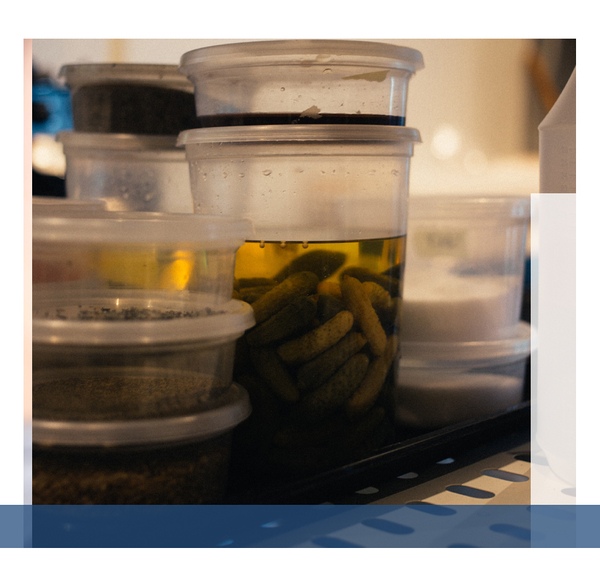 Refrigerated goods inside of plastic containers.