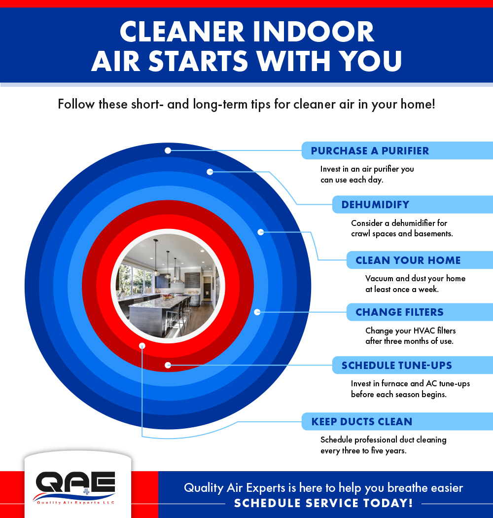 CleanerAir_Infographic.jpg