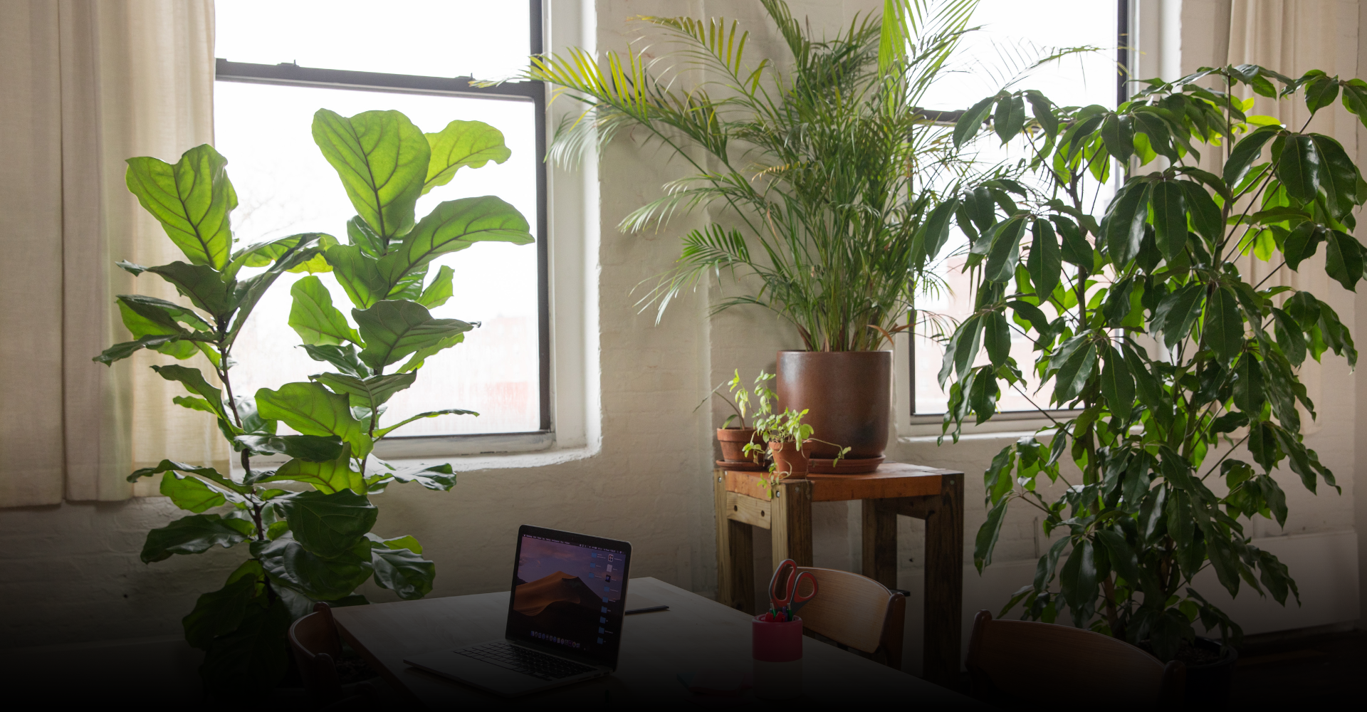 Improving Indoor Air Quality in Ashburn Residences header.png