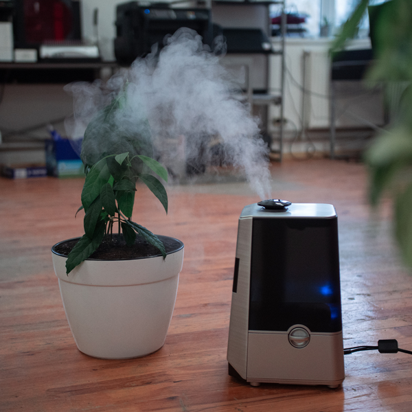 Improving Indoor Air Quality in Ashburn Residences3.png